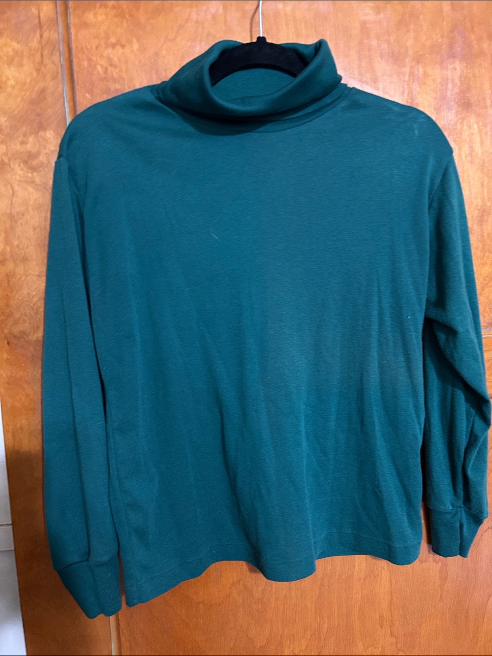 Ricki's Turtleneck Sweater in Hunter Green